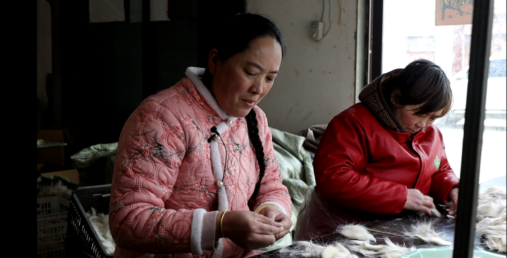 尾毛变身化妆刷“刷”出超百亿元“美妆产业”电子pg中国经济样本观察·“镇”了不起丨废(图3)